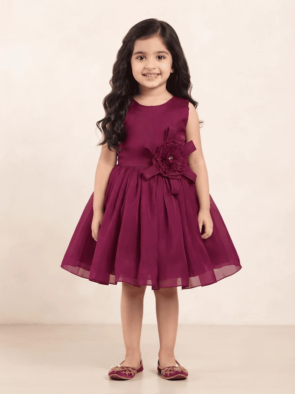 Blabber Sleeveless Floral Applique Detailed Knee Length Dress